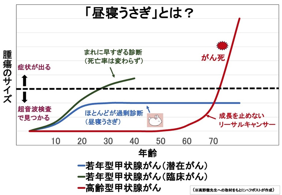 中年以降に突然出現するタイプのがんは成長を止めないないため、がん死につながっていることがわかる（髙野徹先生の研究をもとに作成）