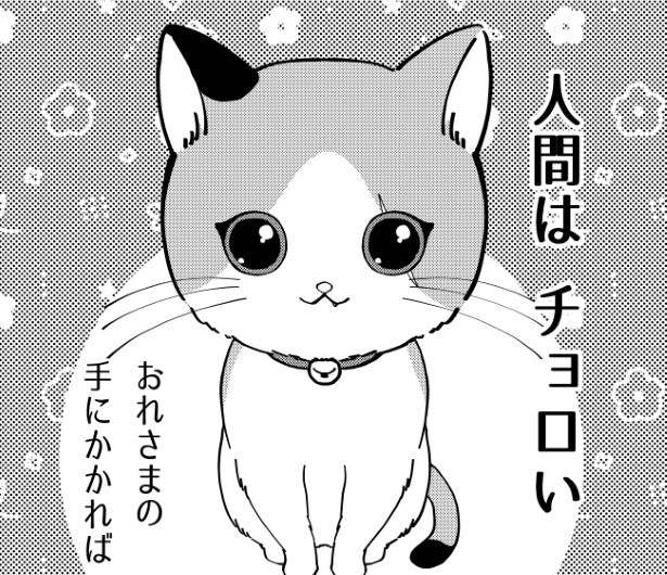 「人間はチョロい」お猫様にそう思われてる飼い主も多いのでは…？