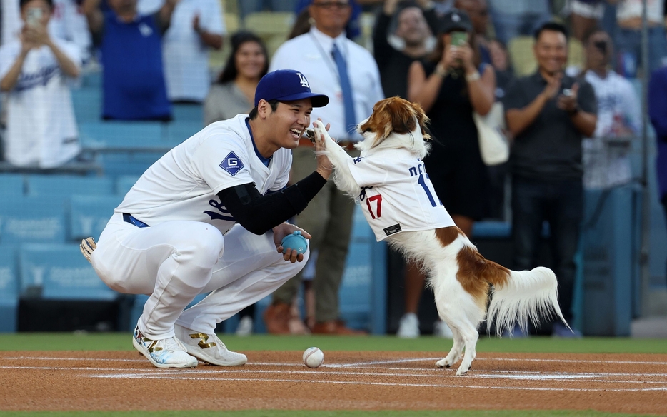 2024年8月28日、ハイタッチするロサンゼルス・ドジャースの大谷翔平と愛犬のデコピン。 Photo by Rob Leiter/MLB Photos via Getty Images