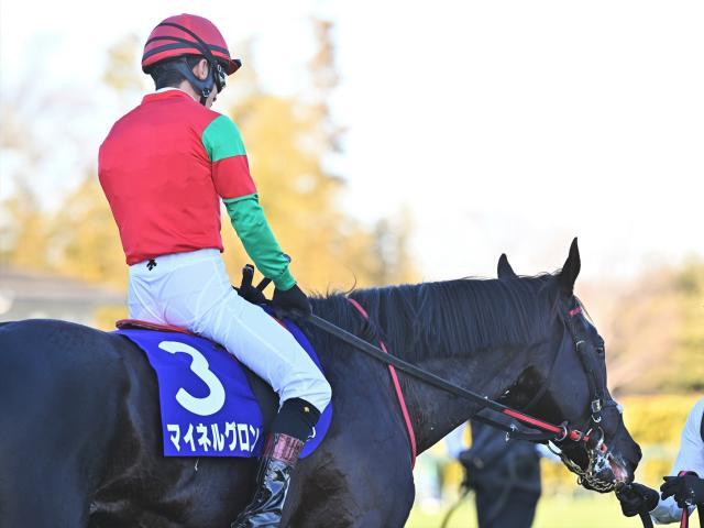 マイネルグロンらが登録(撮影：小金井邦祥)