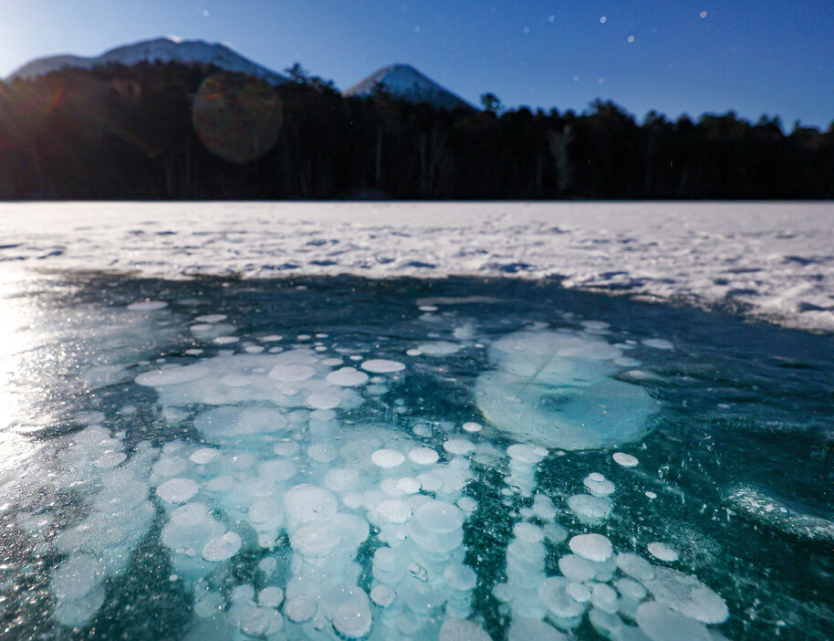 北海道三大秘湖の一つとして知られる湖「オンネトー」に「アイスバブル」が出現している。雪を払うと気泡が輝き、氷の中にもうひとつの宇宙が広がっているようだった＝１８日、北海道足寄町