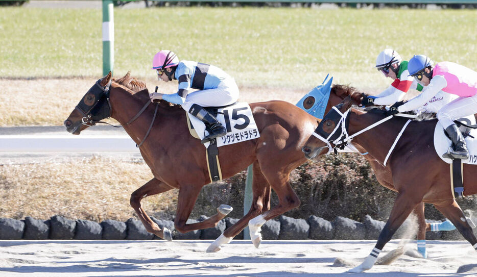 初勝利を飾ったソクヅモドラドラ（左）（カメラ・荒牧　徹）