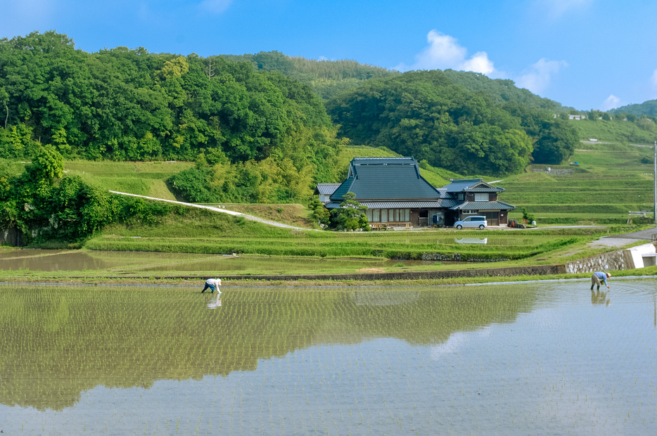 神戸市北区の田園風景