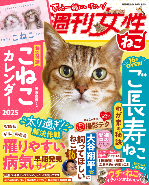 『週刊女性　ねこ』