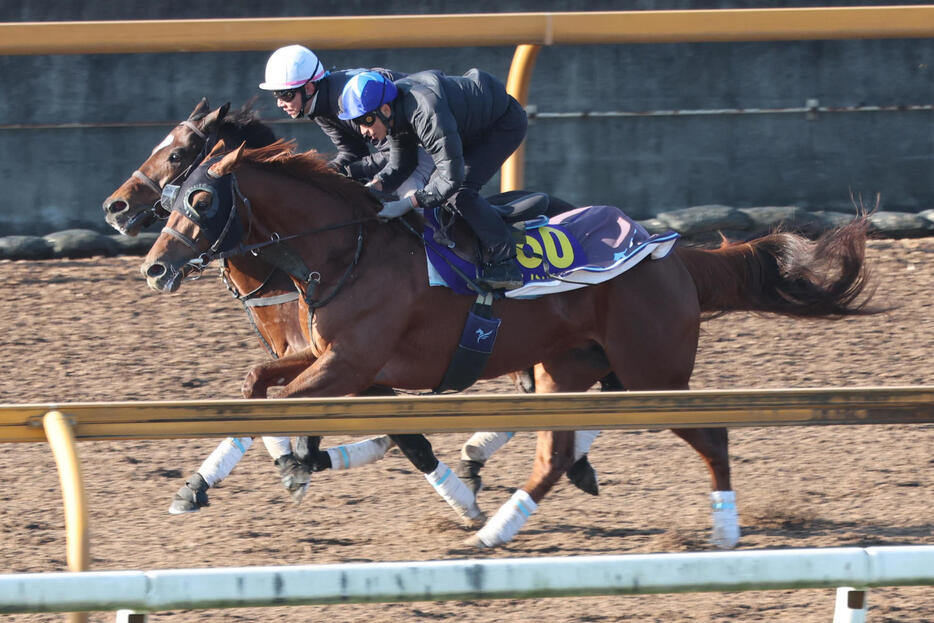 横山典弘騎手が騎乗し、CWコース併せ馬で追い切られたダノンデサイル（手前）