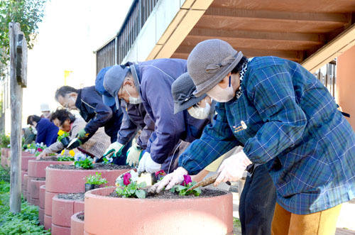 花苗を植えていく会員たち