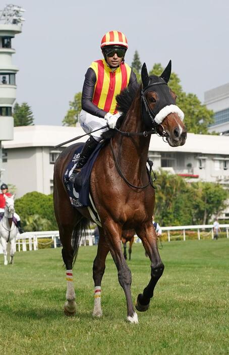 3着に健闘したステレンボッシュ（c）SANKEI