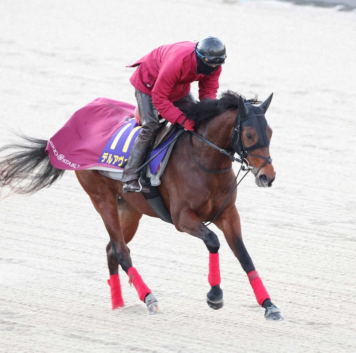 Eコースで調整されるデルアヴァー