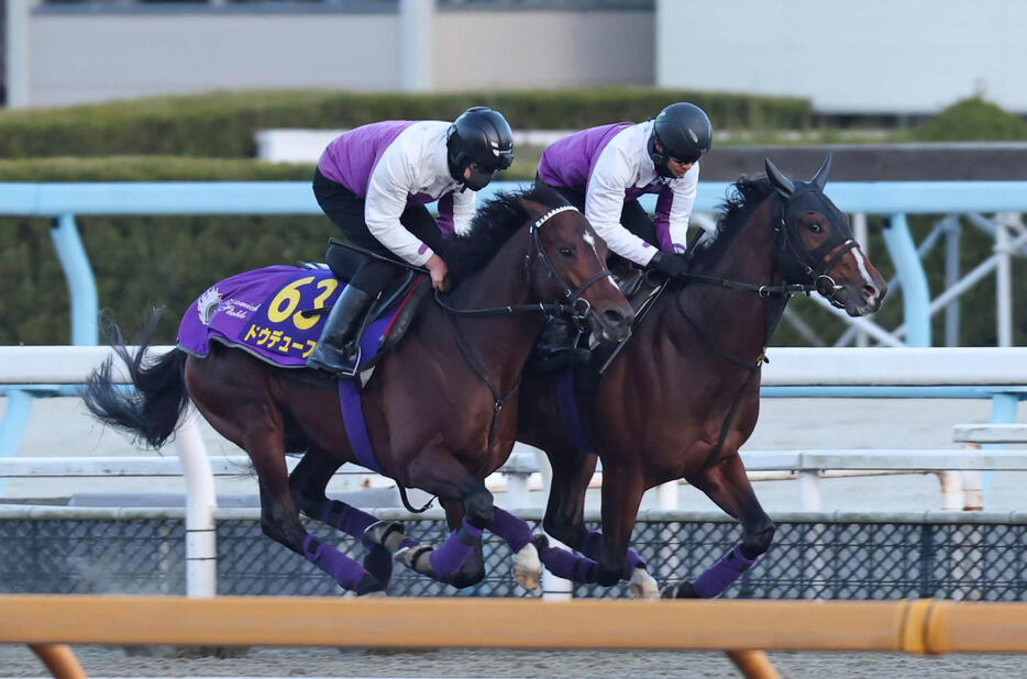 ポリトラックを併せ馬で仕上げられたドウデュース（左）