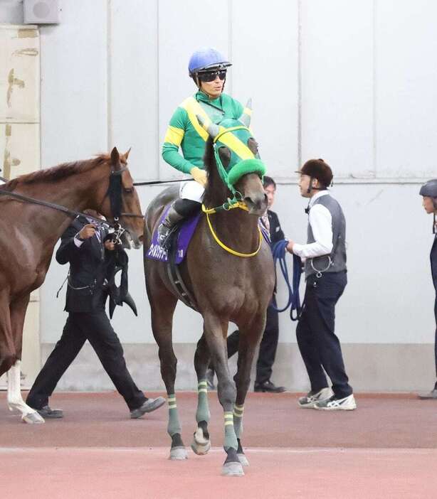 チャンピオンズCで2着だったウィルソンテソーロ＝中京競馬場（撮影・安部光翁）