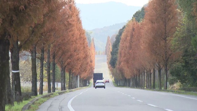 愛知県幸田町の隠れた絶景スポット