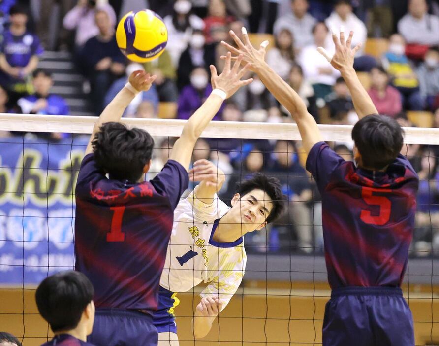 11月24日の東京都大会決勝でスパイクを放つ川野（中）。駿台学園のエースは高校3冠を狙う