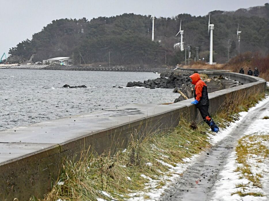 海岸線を歩きながらくまなく捜索する地元漁師たち＝21日午前8時10分ごろ、大間町大間