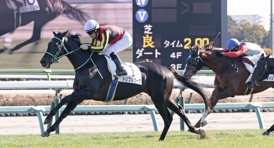 デビューVを飾ったトリプルコーク（左）（カメラ・荒牧　徹）