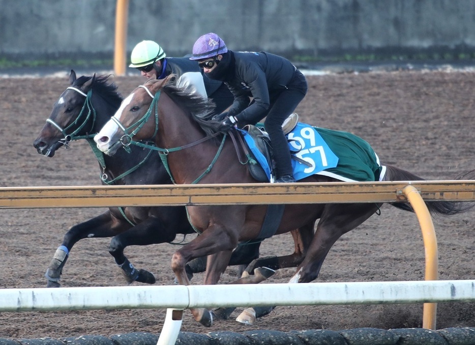 今年デビューの18歳吉村誠之助騎手もGI初騎乗となるランスオブカオス(奥)