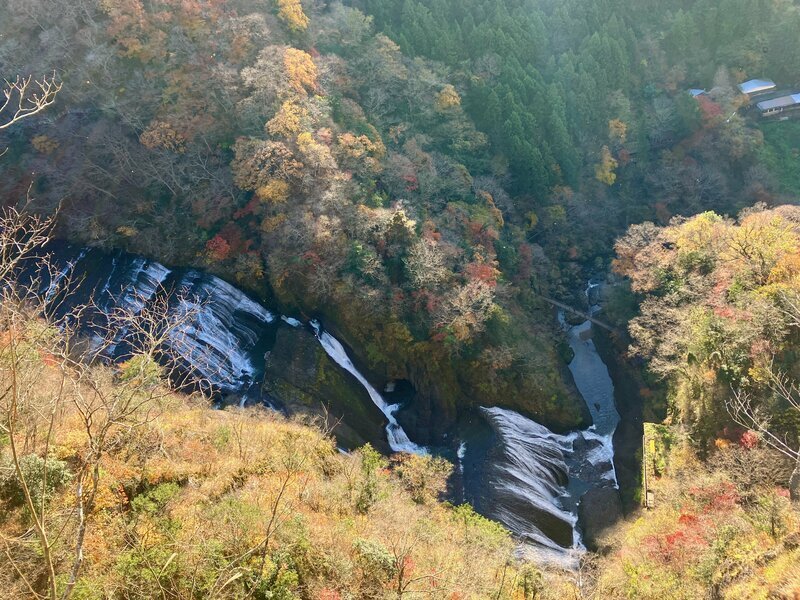 今週中ならギリギリ紅葉登山が楽しめそうです（撮影：BRAVO MOUNTAIN編集部）