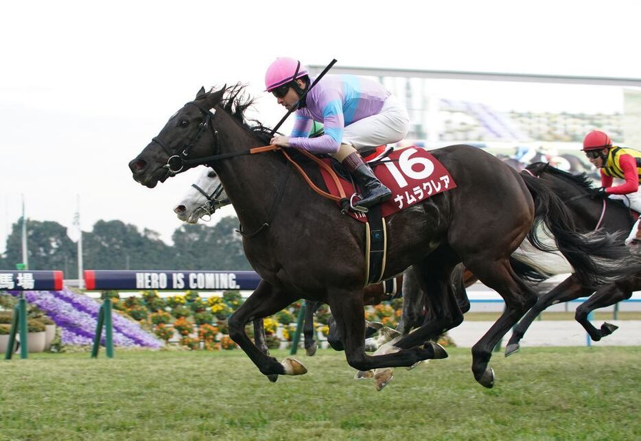 大外一気の競馬で阪神Cを制し重賞5勝目を挙げたナムラクレア（撮影・岩川晋也）