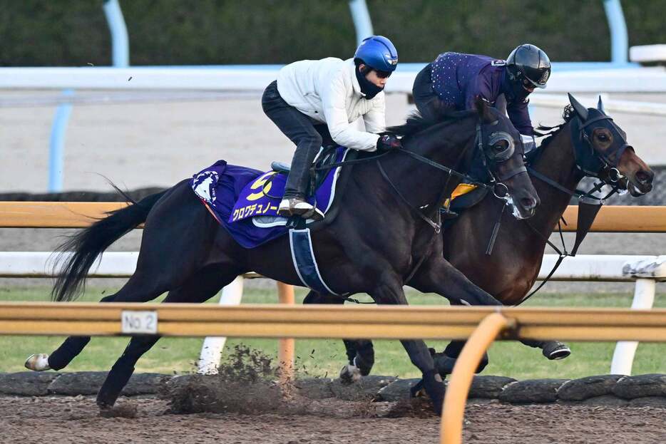 東スポ杯２歳Ｓの覇者クロワデュノール