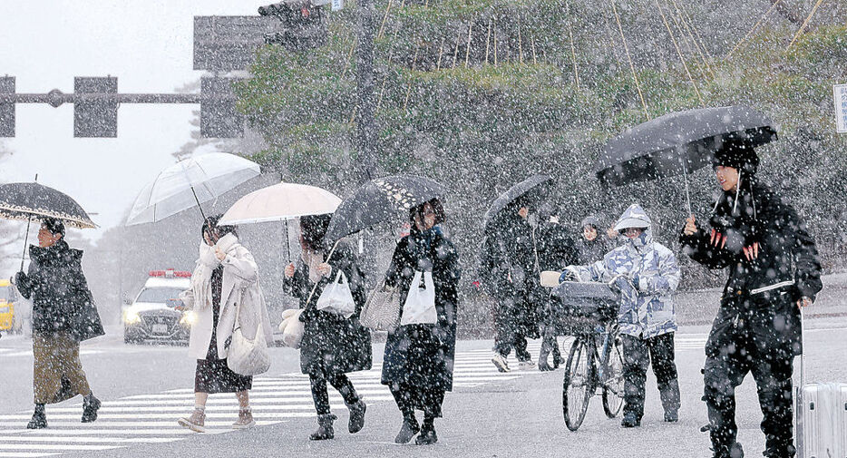 細かい雪が舞う中、目的地を目指す観光客＝金沢市内