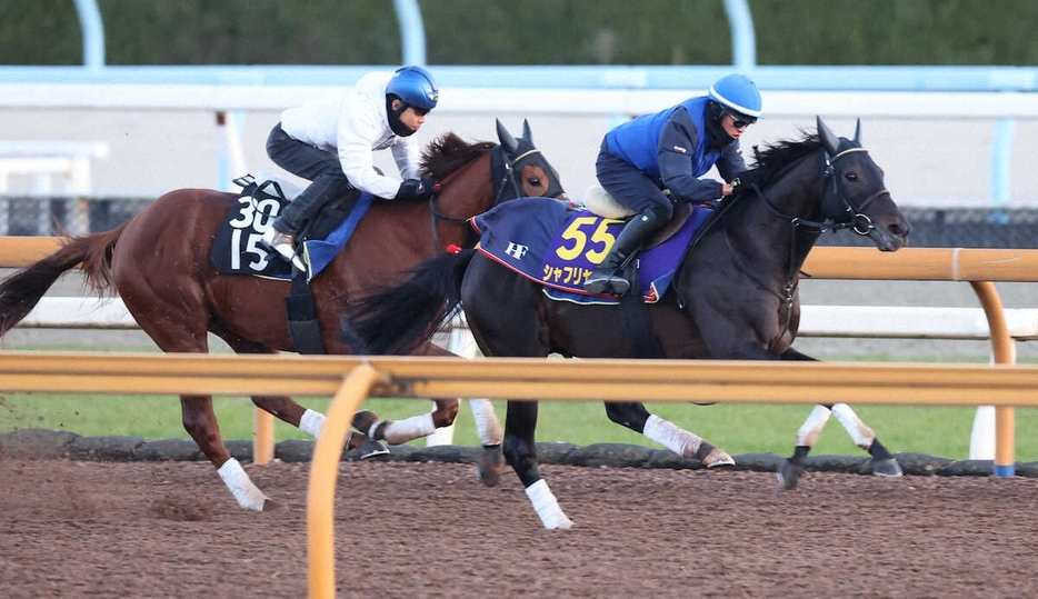 CWコースにて併せ馬で追い切るシャフリヤール（右）（撮影・亀井直樹）