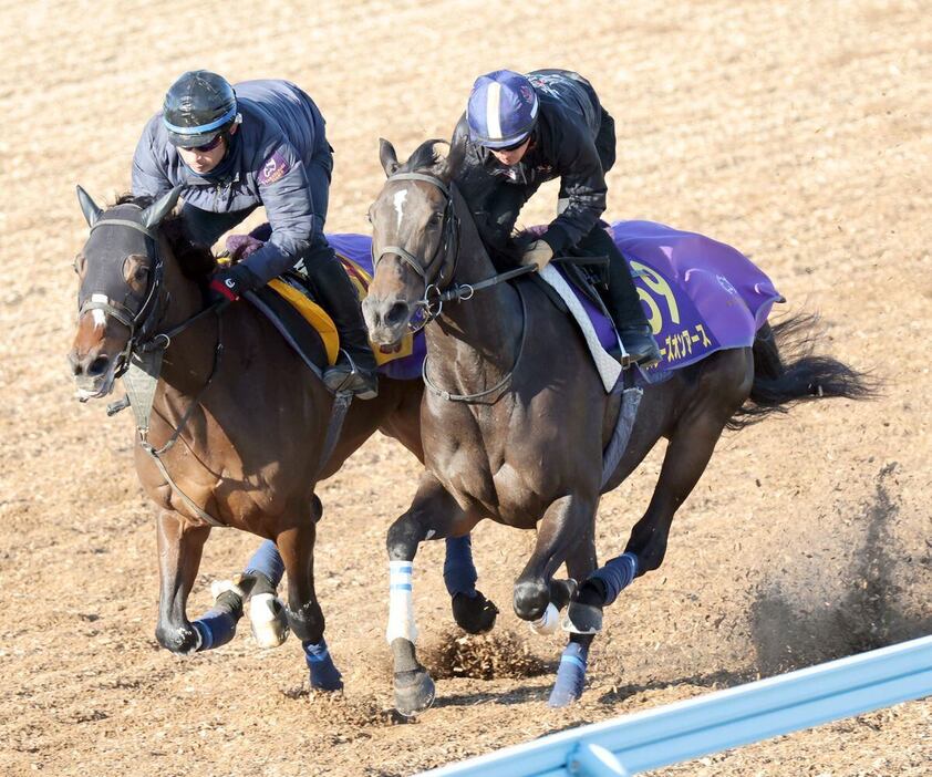 馬なりのまま1馬身先着したスターズオンアース（右）