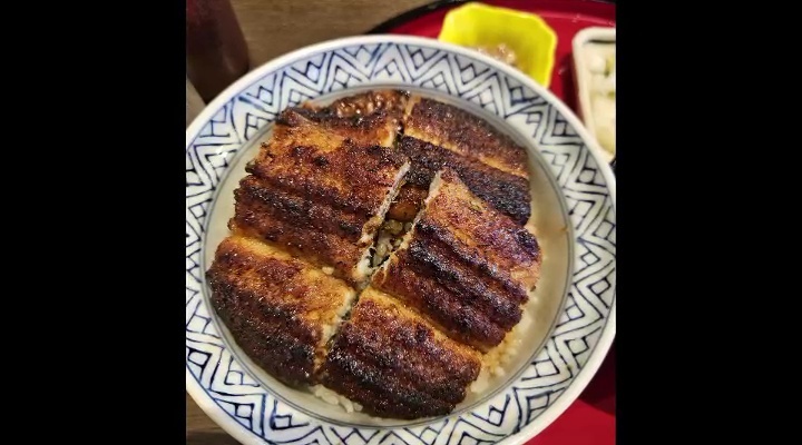 「つしま鰻」で作ったうな丼