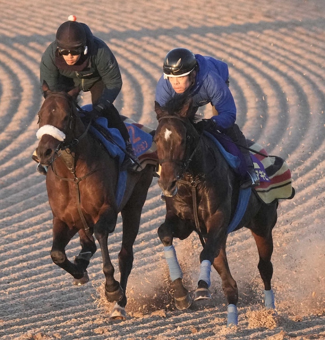 併せ馬で追い切るアマキヒ（右）（撮影・郡司修）