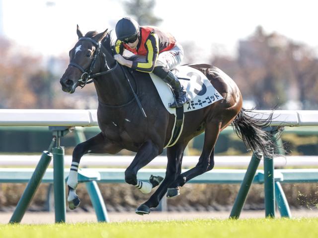 中山5Rの新馬戦を制したスモーキーゴッド(撮影：下野雄規)