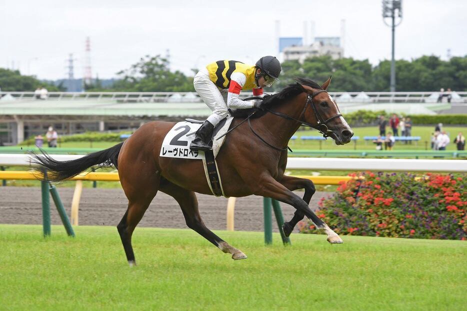 登録馬中、唯一の牝馬レーヴドロペラ