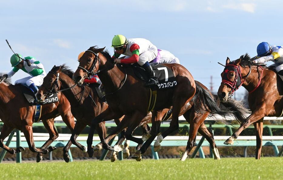 黒松賞を勝ったサウスバンク＝7日、中山競馬場（撮影・奈良武）