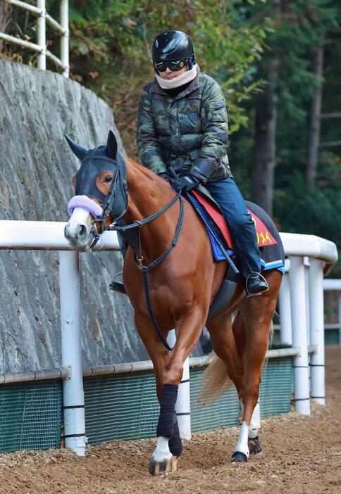 　無傷３連勝で２歳女王の座を狙うクリノメイ