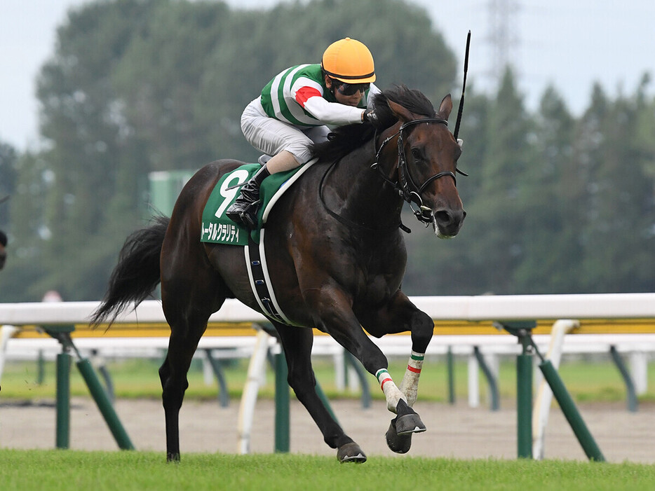 朝日杯FSでの一発が期待されるトータルクラリティ　photo by Sankei Visual