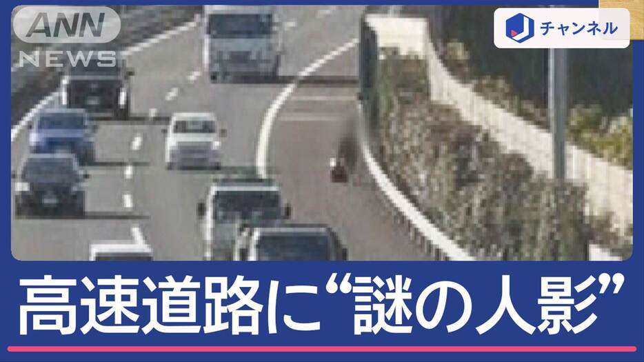 高速道路を歩く”謎の人影” 事故もないのに…なぜ？その正体は