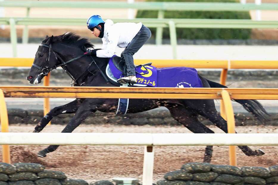 迫力満点の動きで先着したクロワデュノール