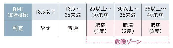 BMI（肥満指数）による肥満判定基準