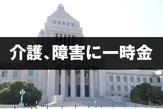 一般会計13兆9433億円の2024年度補正予算が17日、参議院本会議で可決、成立した