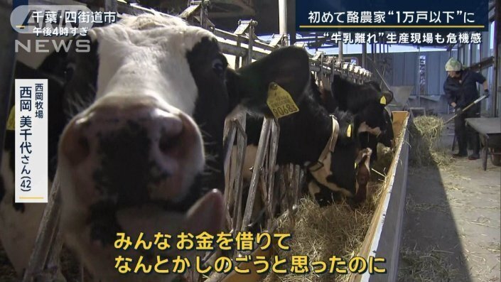 “牛乳離れ”生産現場も危機感…海外に学ぶ国の支援とは　酪農家が1万戸以下に減少