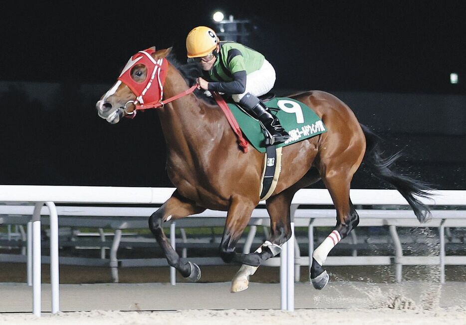 創刊７０周年記念中日スポーツ杯第６３回ゴールドウィング賞２歳オープンを制した丸野騎乗のカワテンマックス