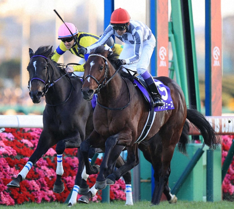 昨年の有馬記念を制したドウデュース（右）と2着のスターズオンアース