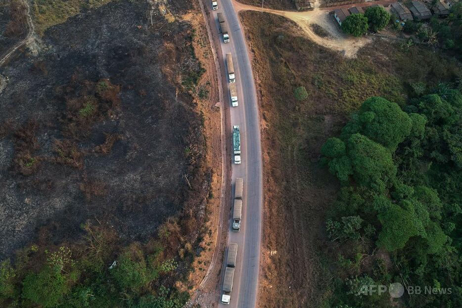 ブラジル・パラ州を通る幹線道路（2019年9月11日撮影、資料写真）。【翻訳編集】 AFPBB News