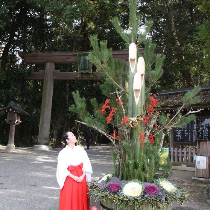 二の鳥居前にお目見えした大門松＝奈良県桜井市の大神神社