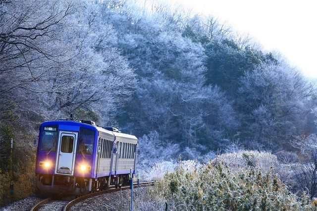 関西本線の情景（ＪＲ西日本提供）