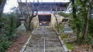 神社参道もなかなか急で、見上げて撮影したくなるスポット。撮影:森田季節