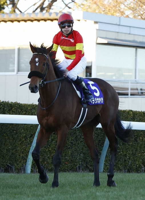 ＜中山11R・有馬記念＞4着の横山和騎乗のべラジオオペラ（撮影・五島　佑一郎）