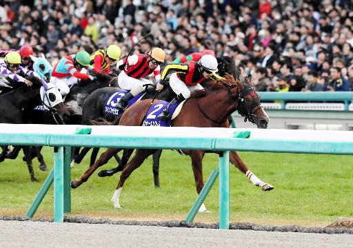 カレラエンブレマの母メジャーエンブレム＝阪神ＪＦ優勝時