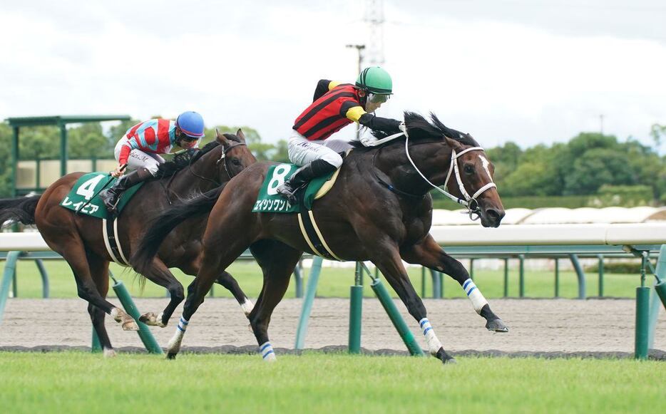 小倉2歳Sを制したエイシンワンド＝中京競馬場（撮影・岩川晋也）