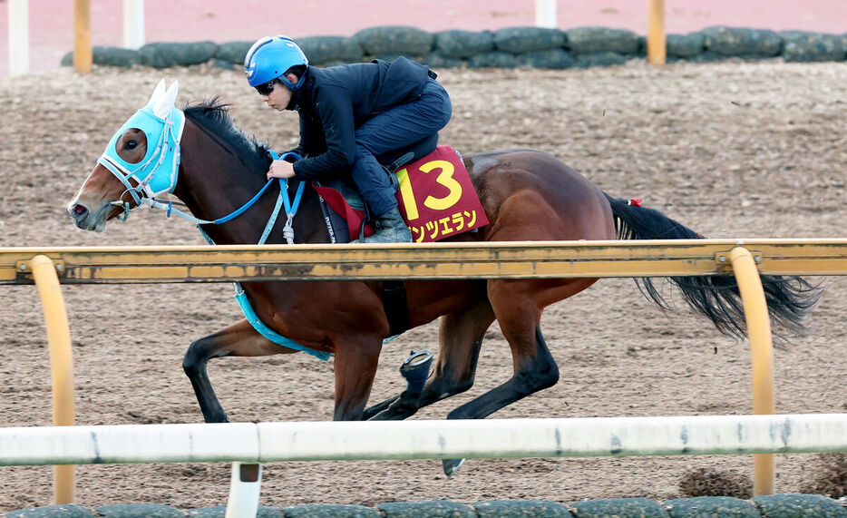 団野を背にＣＷコースで弾んだダンツエラン