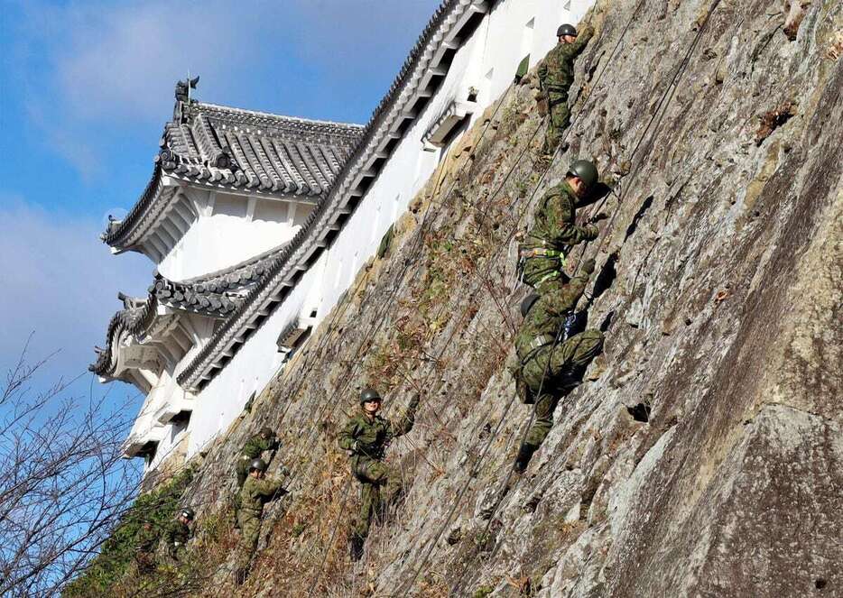 石垣に茂った草木を除去する自衛隊員ら＝19日午前、兵庫県姫路市の姫路城（小林宏之撮影）