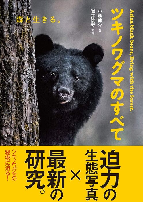 小池伸介 (著), 澤井俊彦 (写真)『ツキノワグマのすべて: 森と生きる。』（文一総合出版）