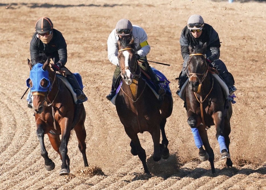 ＜有馬記念＞3頭併せで追い切る（右から）シュトルーヴェとダノンベルーガ（撮影・村上　大輔）